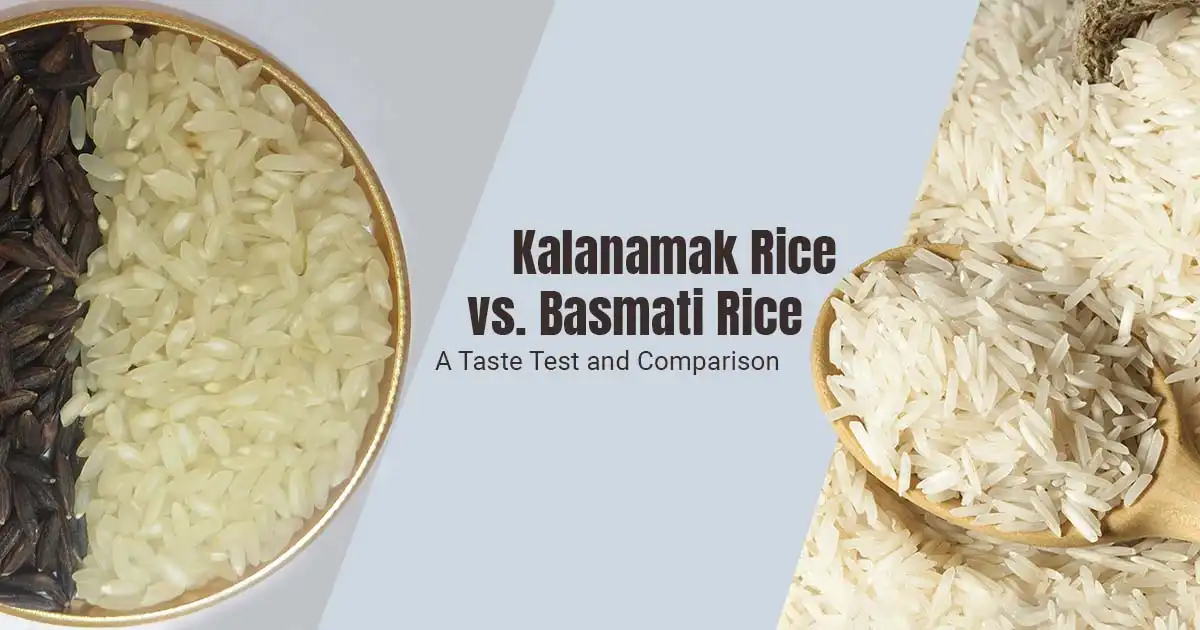 Kalanamak Rice vs Basmati Rice A Taste Test and Comparison