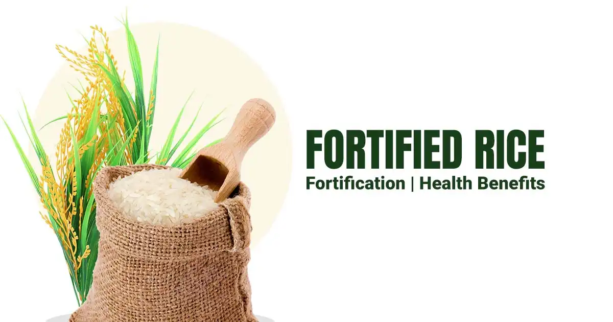 What is Fortified Rice - What are the Health Benefits of Fortified Rice