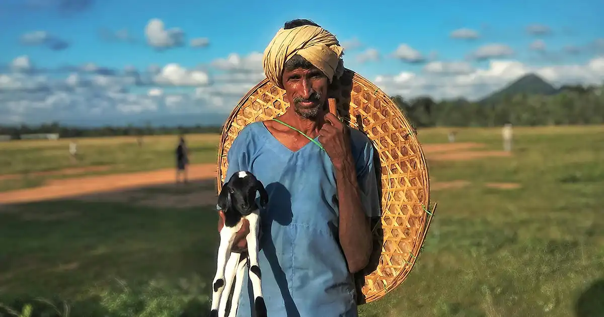 The Economic Impact of Kalanamak Rice on Farmers and Local Communities